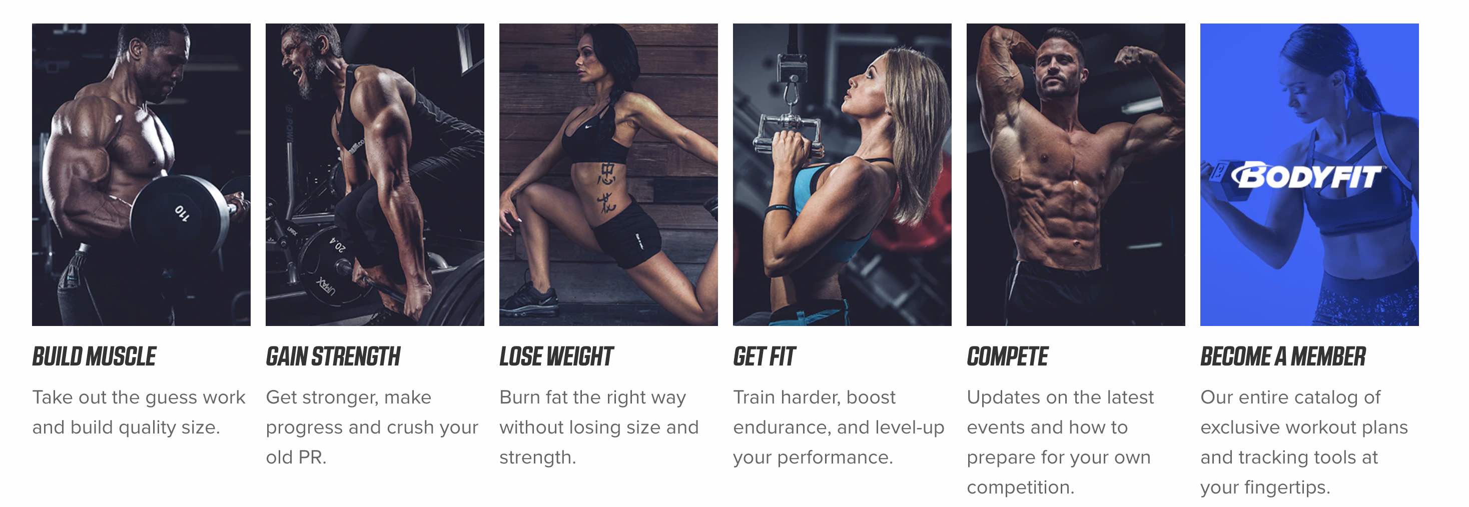 The Best SEO Niches for Blogs and Websites 11 One example of a website in this niche is Bodybuilding.com. I'm not sure if the website started with that exact match domain name, or purchased it later, but that's a jackpot domain name for branding and search.